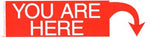 You Are Here bumper sticker