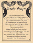 Snake Prayer poster