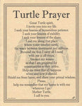 Turtle Prayer poster