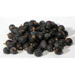 Juniper Berries whole 1oz  (Juniperus communis)