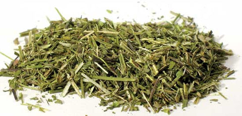 Scullcap cut 1oz (Scutellaria lateriflora)