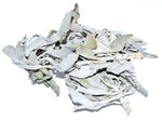 White Sage 1oz (Salvia Apiana)