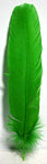 (set of 10) Green feather 12"