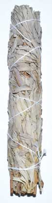 9" White Sage smudge stick