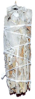 California White Sage smudge stick 3"